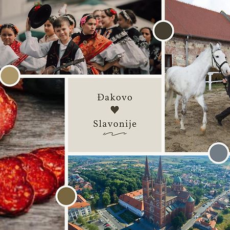 Hotel Sobe Dakovacki Vezovi Ðakovo Esterno foto